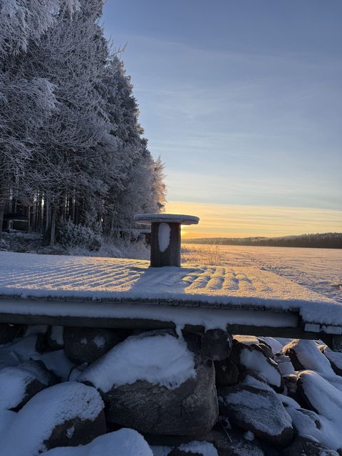 The same dock and cable drum table under hoarfrost, low winter sun behind the trees