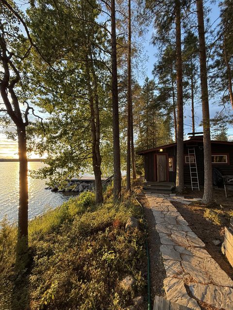 The stone path to the cabin at the shore, evening sun through the pines over the lake