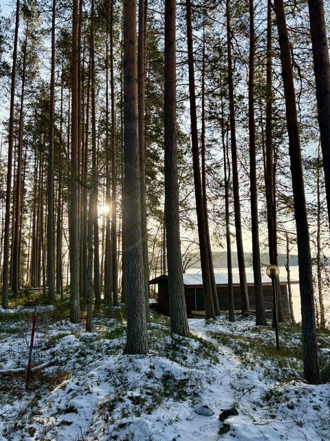 Teijo's cabin — photo 8